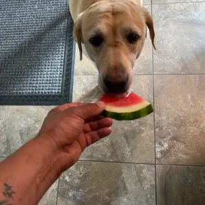 Meet your Posher, Jamie